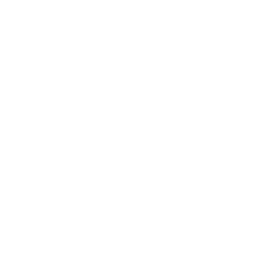 flat roof services inc logo