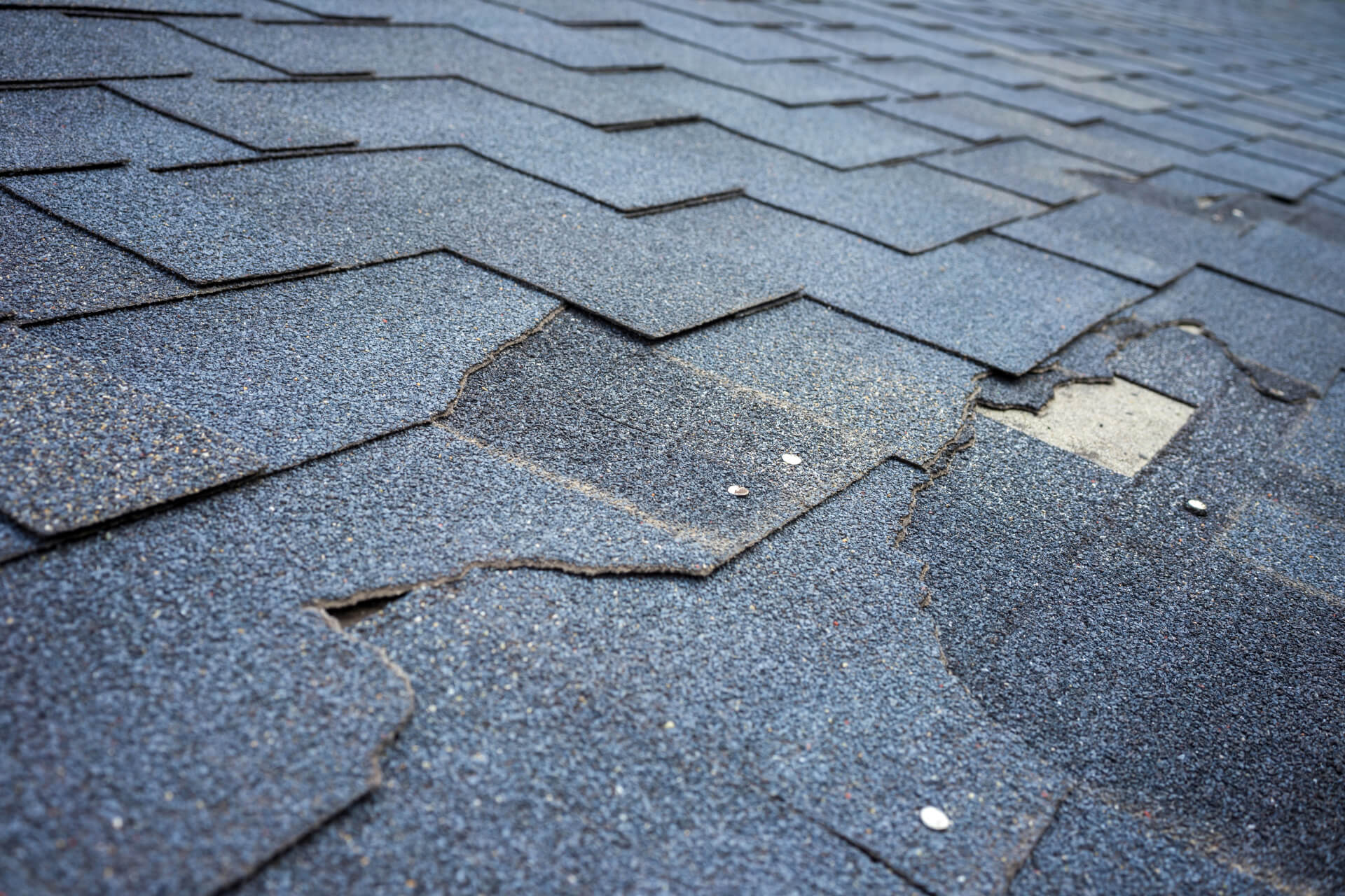 Missing and damaged asphalt shingles on a Calgary roof exposed to the elements