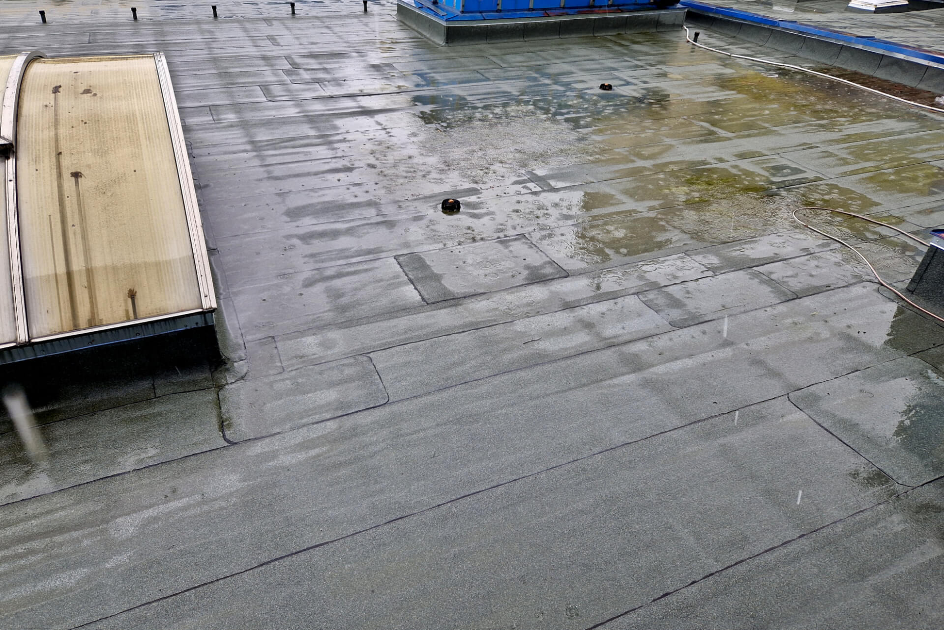 Flat roof with pooling water and membrane damage indicating active leaks needing detection and repair