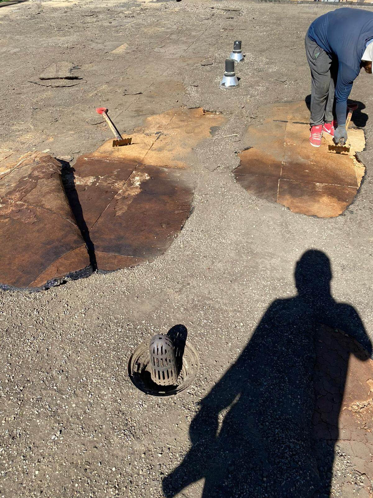 Flat roof leak detection showing water damage and membrane deterioration on a Calgary property